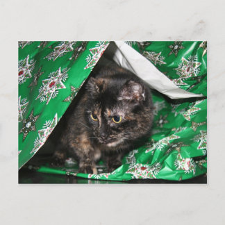 Geschenkpackung tortoiseshell postkarte