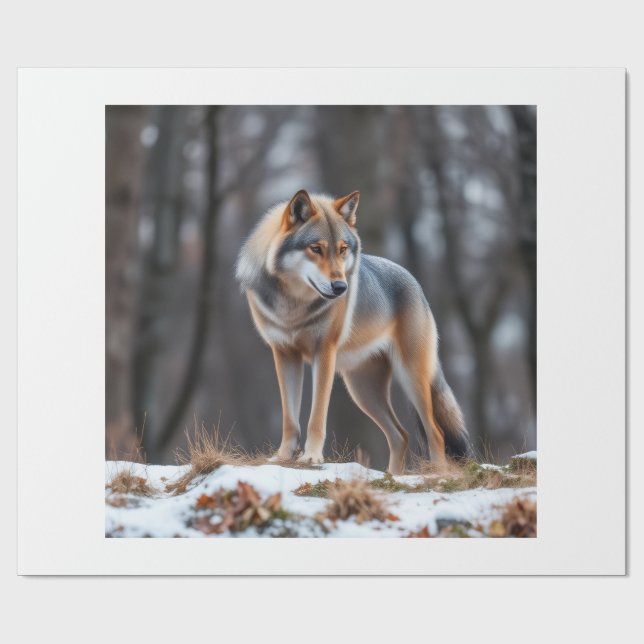 Geschenkpapier  (Flach)