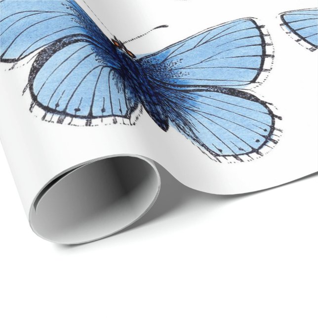 Geschenkpapier - Blauer Schmetterling (Rolleneckpunkt)