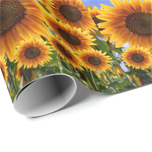Geschenkpapier Sonnenblume