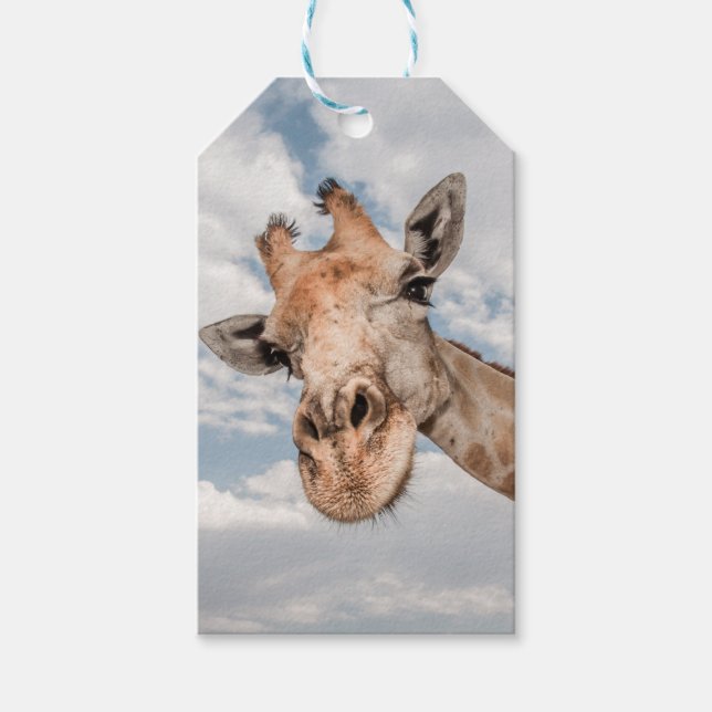 Geschenktafel mit Giraffe Sticken aus Neck Geschenkanhänger (Vorderseite)