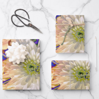 Geschenktasche Geschenkpapier Set