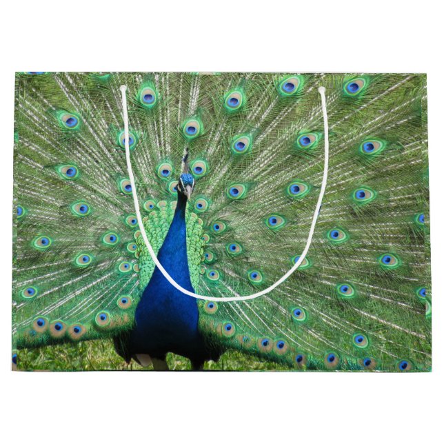 Geschenktasche (Lrg) - Proud Peacock Große Geschenktüte (Vorderseite)