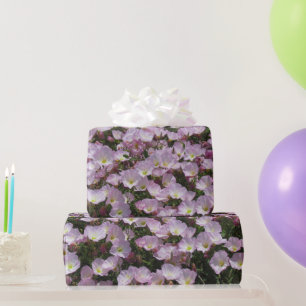 Geschenkwrap - Feld der rosa Primrose Geschenkpapier