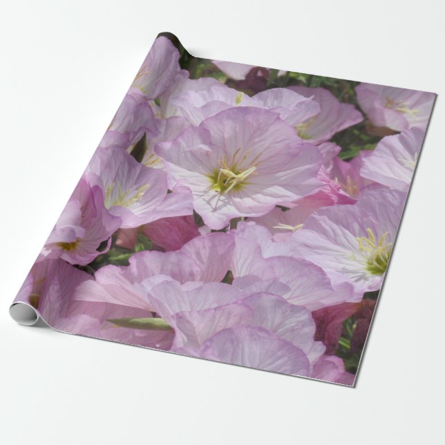 Geschenkwrap - Primrose Geschenkpapier (Ungerollt)