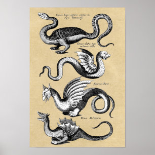 Geschichte der Drachen-Mauerdiagramm Poster