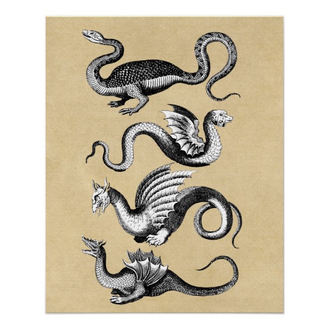 Geschichte der Drachen rustikal Poster (Vorderseite)
