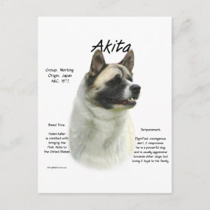 Geschichte Pinto Akita Postkarte