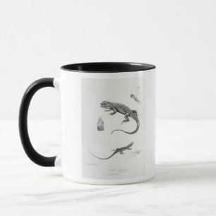 Geschichteter Leguan Tasse