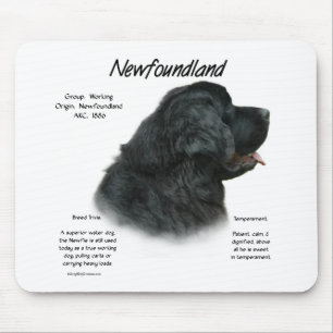 Geschichtsdesign in Neufundland (Schwarz) Mousepad