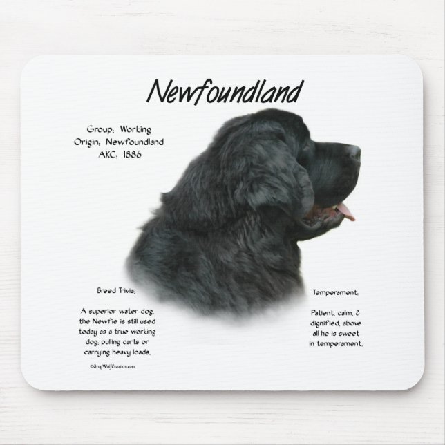 Geschichtsdesign in Neufundland (Schwarz) Mousepad (Vorne)