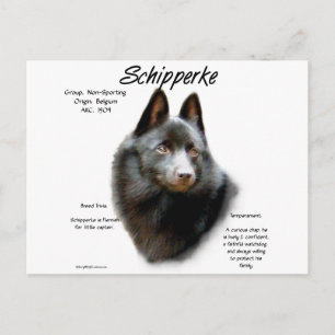 Geschichtsdesign von Schipperke Postkarte