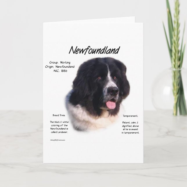Geschichtsentwurf Neufundlands (landseer) Karte (Vorderseite)