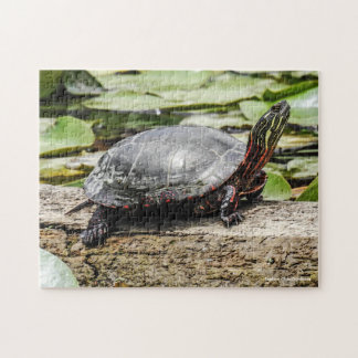 Geschildertes Schildkröten-Puzzle