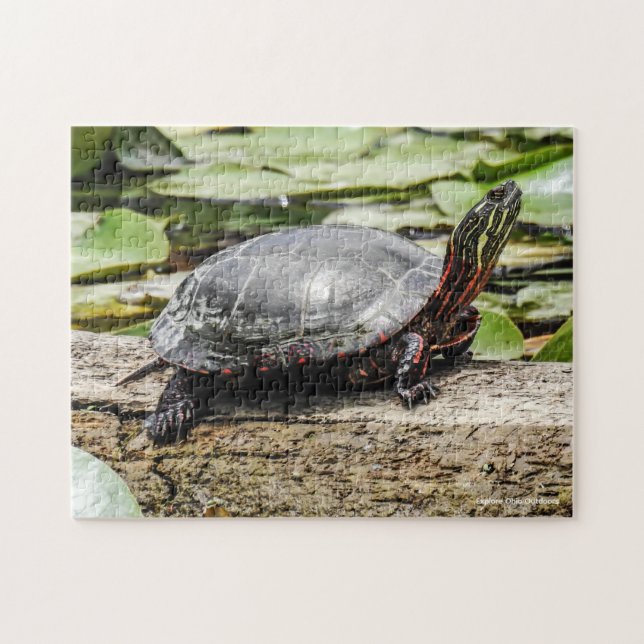 Geschildertes Schildkröten-Puzzle (Horizontal)