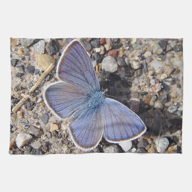 Geschirrtuch blauer Schmetterling (Horizontal)