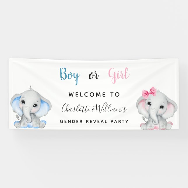 Geschlecht enthüllt Party Junge Mädchen blau rosa  Banner (Horizontal)