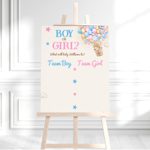 Geschlecht Enthüllung Teddybär Rosa Blau Abstimmun Poster