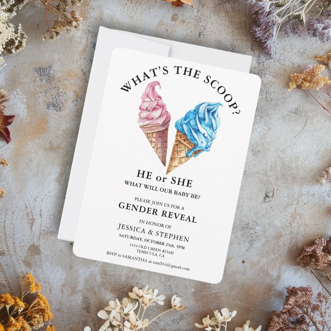 Geschlecht offen Rosa Blau Was ist der Schott Einladung (Von Creator hochgeladen)