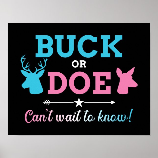 Geschlecht offenbart Buck kann es nicht erwarten,  Poster (Vorne)