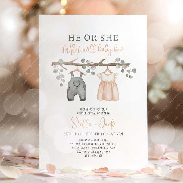 Geschlechtsenthüllung Er oder Sie Wäscheleine  Einladung (He or She, What will baby be? Gender Reveal Invitation)