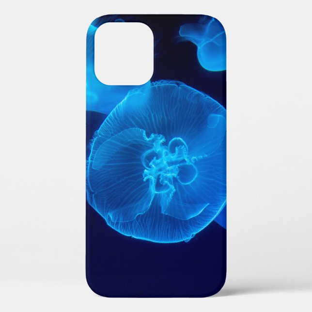 GESCHLOSSENE FOTOGRAFIE DES SCHWARMS VON JELLYFISH Case-Mate iPhone HÜLLE (Rückseite)