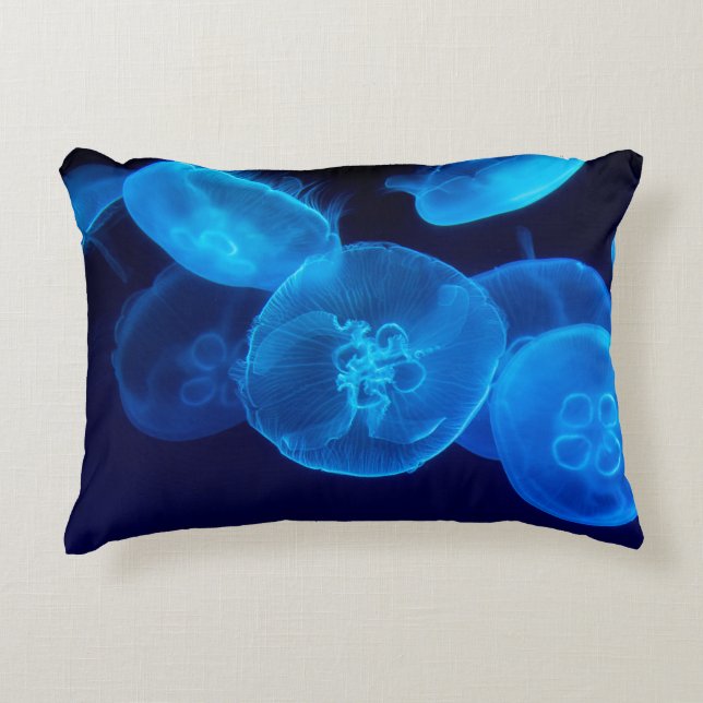 GESCHLOSSENE FOTOGRAFIE DES SCHWARMS VON JELLYFISH DEKOKISSEN (Vorderseite)