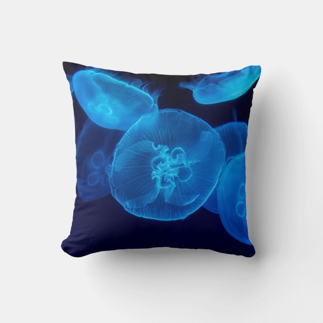 GESCHLOSSENE FOTOGRAFIE DES SCHWARMS VON JELLYFISH KISSEN (Vorderseite)