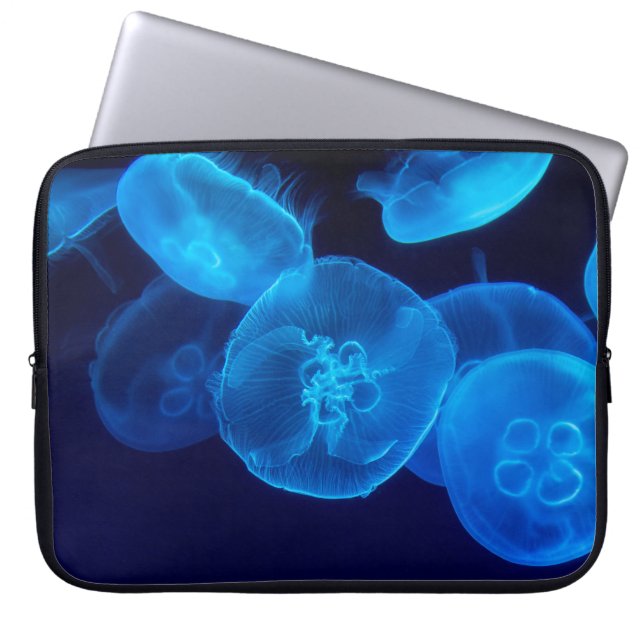 GESCHLOSSENE FOTOGRAFIE DES SCHWARMS VON JELLYFISH LAPTOPSCHUTZHÜLLE (Vorderseite)
