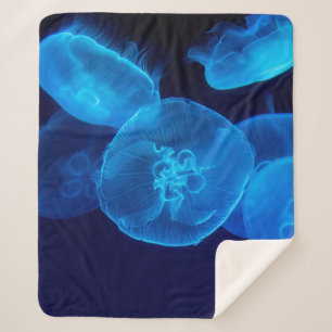 GESCHLOSSENE FOTOGRAFIE DES SCHWARMS VON JELLYFISH SHERPADECKE