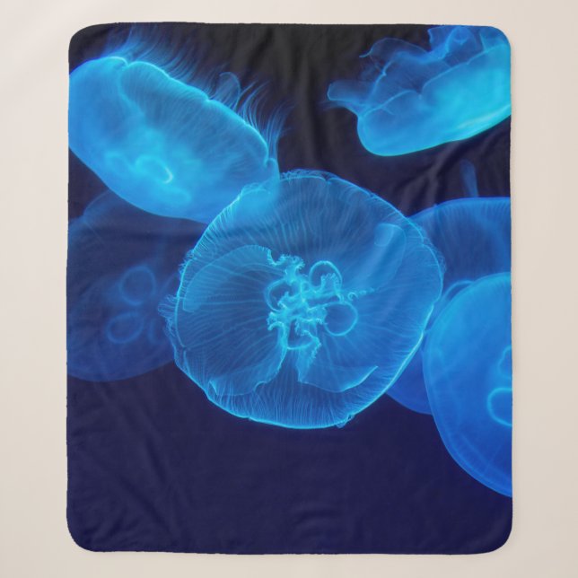 GESCHLOSSENE FOTOGRAFIE DES SCHWARMS VON JELLYFISH SHERPADECKE (Vorderseite)