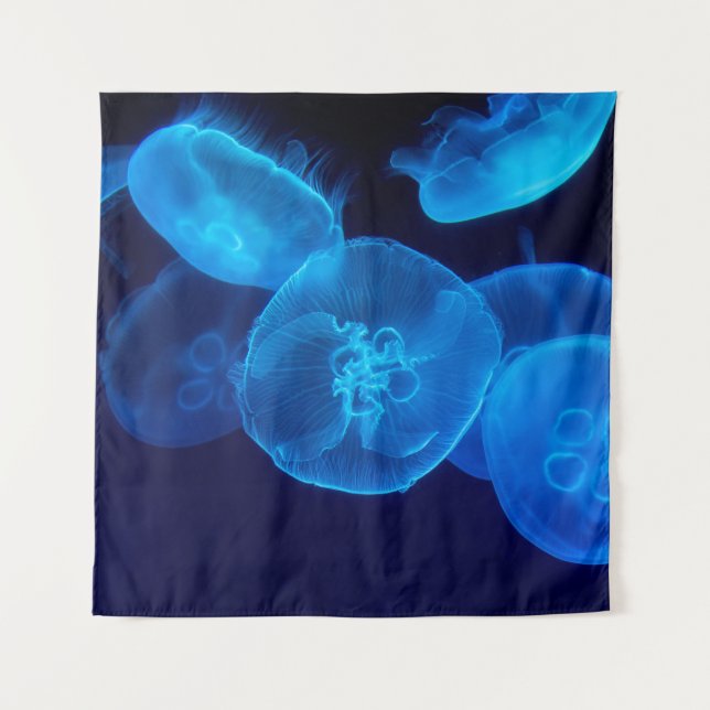 GESCHLOSSENE FOTOGRAFIE DES SCHWARMS VON JELLYFISH WANDTEPPICH (Vorderseite)