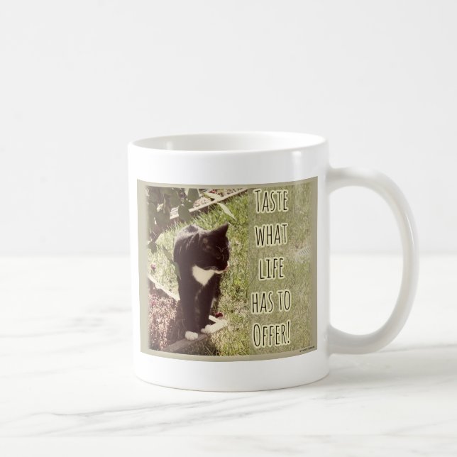 Geschmack des Lebens Niedlich Kat-Foto Inspiration Kaffeetasse (Rechts)