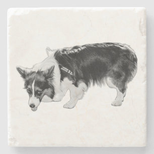 Geschmackstest Steinuntersetzer