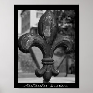 Geschmiedetes Eisen Fleur de lis Natchitoches Poster