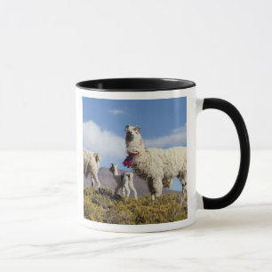 Geschmückte Lama-Herde in der Puna, Anden 3 Tasse