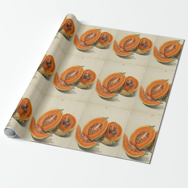Geschnittene Kantalupenmeloneillustration Geschenkpapier (Ungerollt)