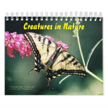 Geschöpfe im Natur-Kalender