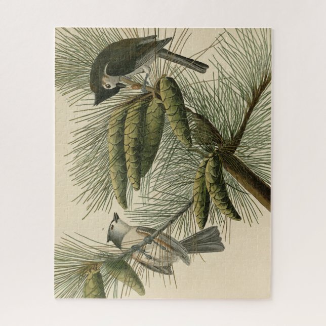 Geschöpfert (gefickt) Titmouse Audubon Birds of Am (Vertikal)