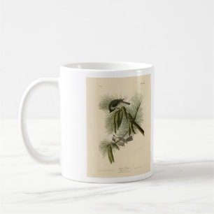Geschöpfert (gefickt) Titmouse Audubon Birds of Am Kaffeetasse