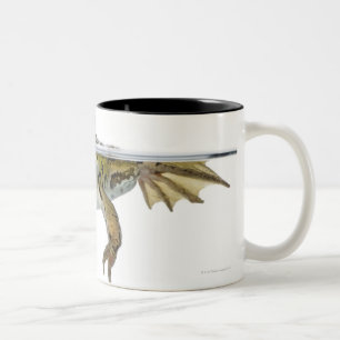 Geschossen von einem essbaren Frosch, der vor a Zweifarbige Tasse