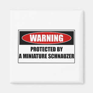 Geschützt durch einen Miniaturschnauzer Magnet
