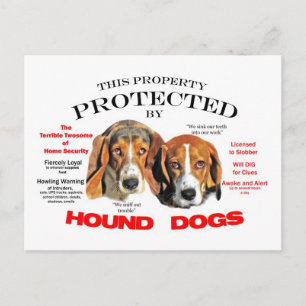 Geschützt von Hunden Postkarte