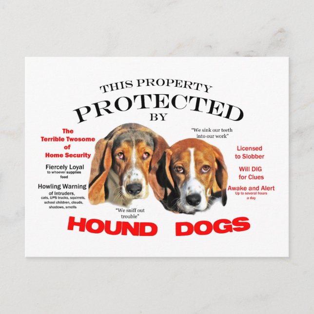 Geschützt von Hunden Postkarte (Vorderseite)