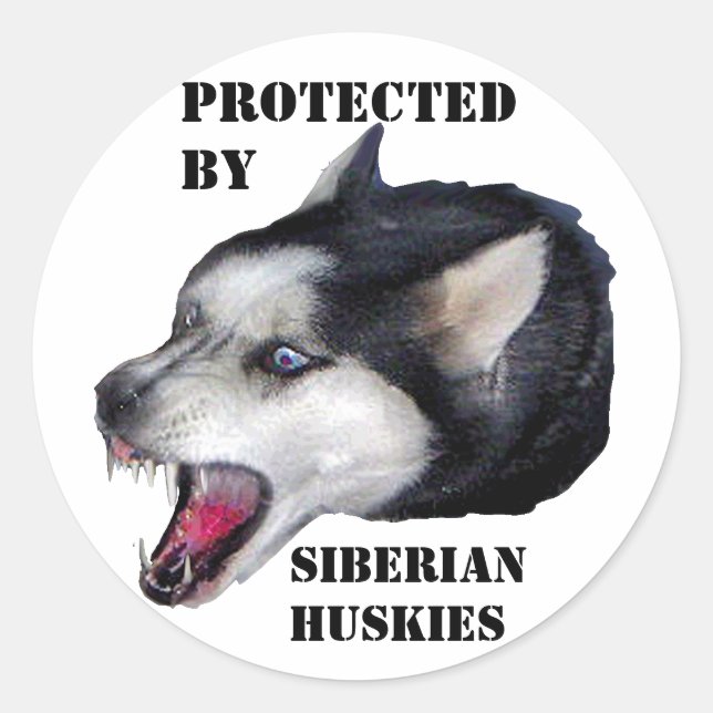 GESCHÜTZT VON SIBERISCHEN HUSKIEN RUNDER AUFKLEBER (Vorderseite)