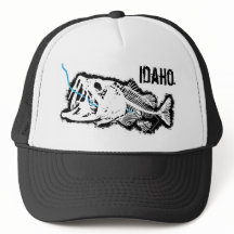 GESCHÜTZTE IDAHO - EINE SCHLECHTE BASIS