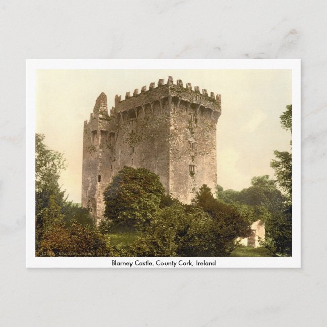 Geschwätz-Schloss, Co.-Korken, Munster, Irland Postkarte (Vorderseite)