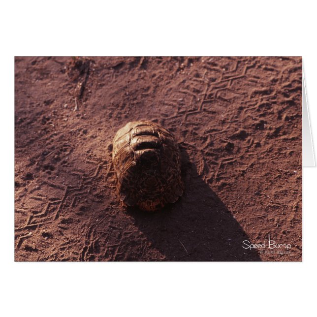 Geschwindigkeitssprung (Vorderseite (Horizontal))