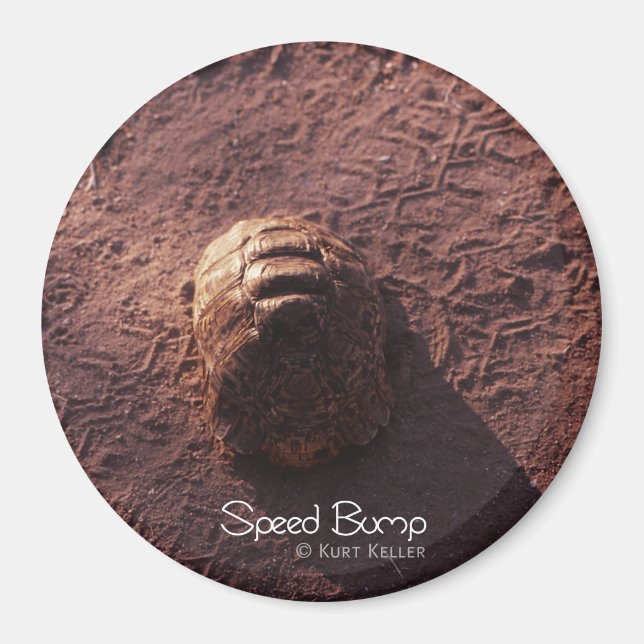 Geschwindigkeitssprung Magnet (Vorne)