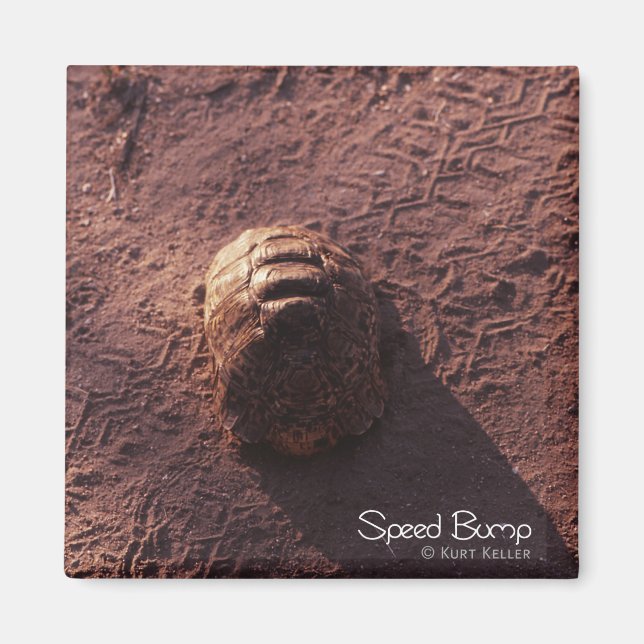 Geschwindigkeitssprung Magnet (Vorne)